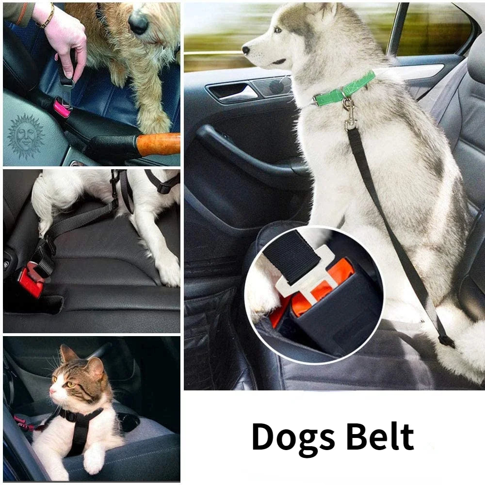 Keep Your Pet Safe on Every Ride – Adjustable Pet Car Seat Belt for Dogs & Cats