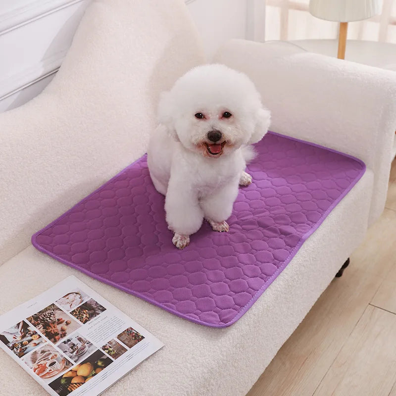 Dog Pee Absorbent Pad – Keep Your Home Clean, Fresh and Odour-Free!