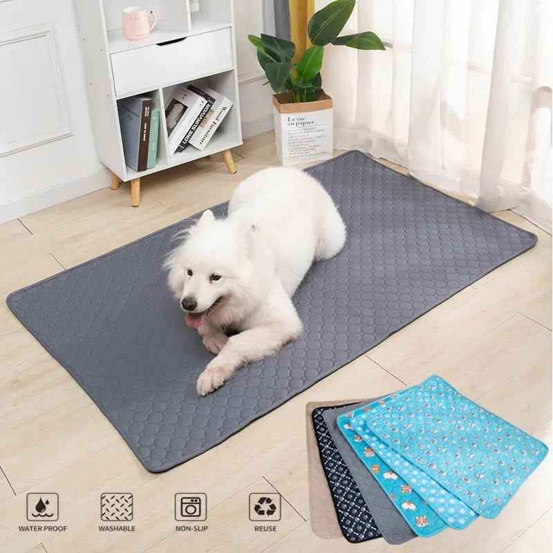 Dog Pee Absorbent Pad – Keep Your Home Clean, Fresh and Odour-Free!