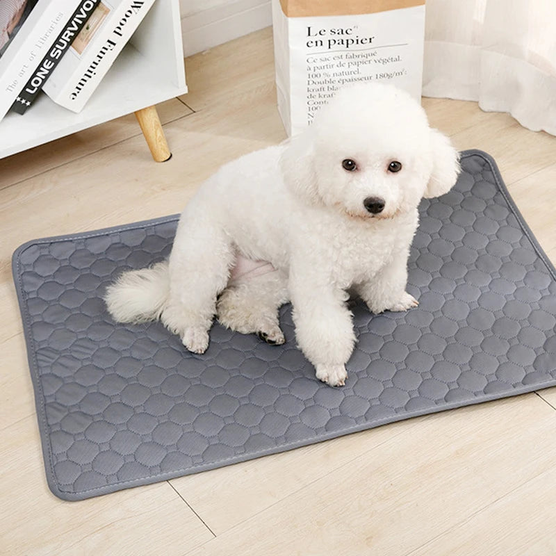 Dog Pee Absorbent Pad – Keep Your Home Clean, Fresh and Odour-Free!