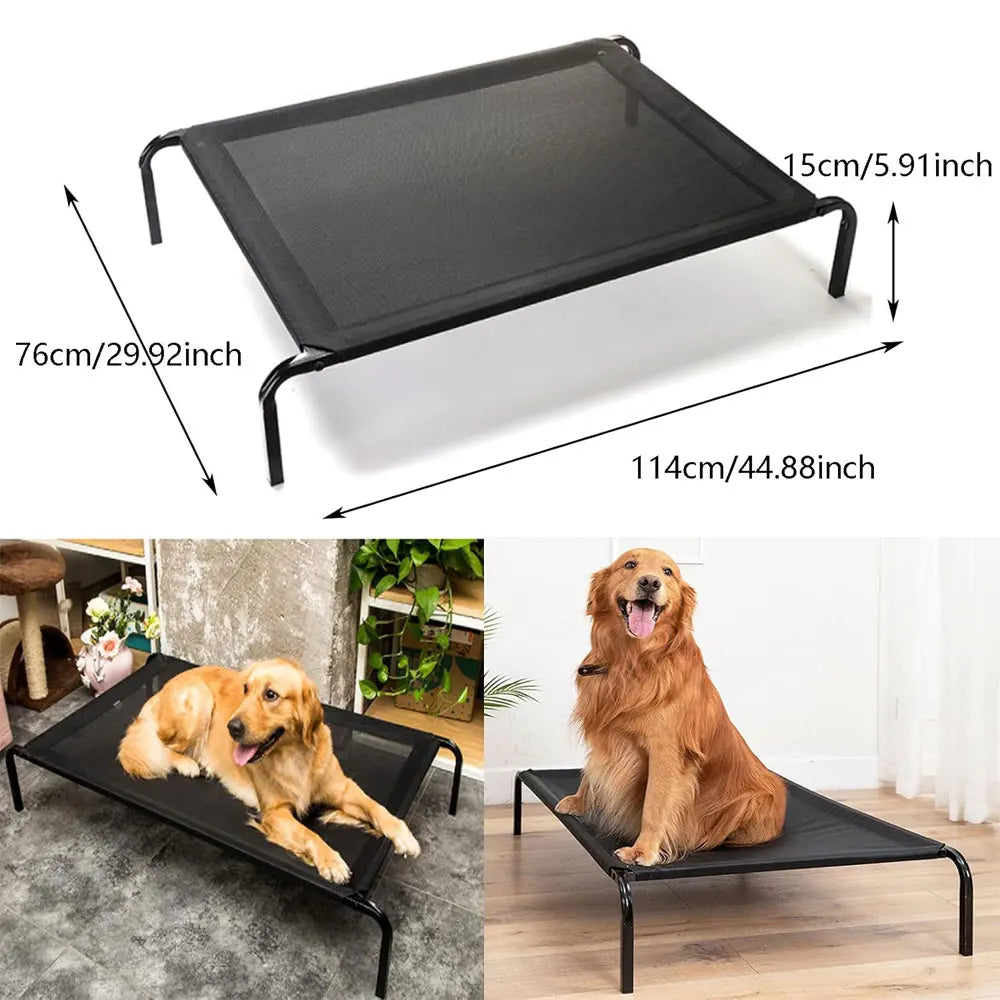 Elevated Dog Bed – The Ultimate Comfort Your Pet Deserves