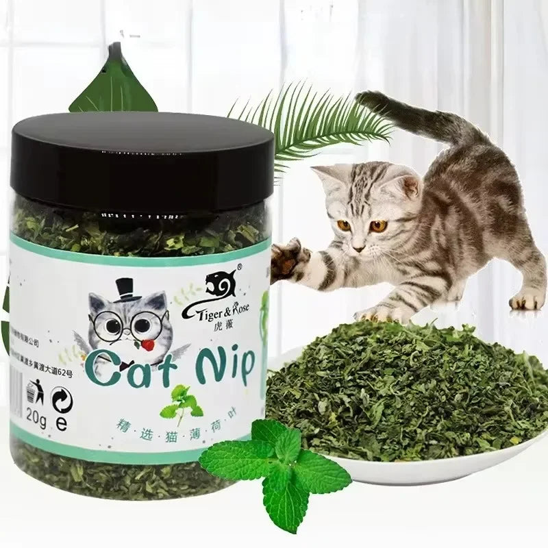 🌿🐱 100% Organic Catnip – Pure, Natural & Powerful Wellness for Your Cat!