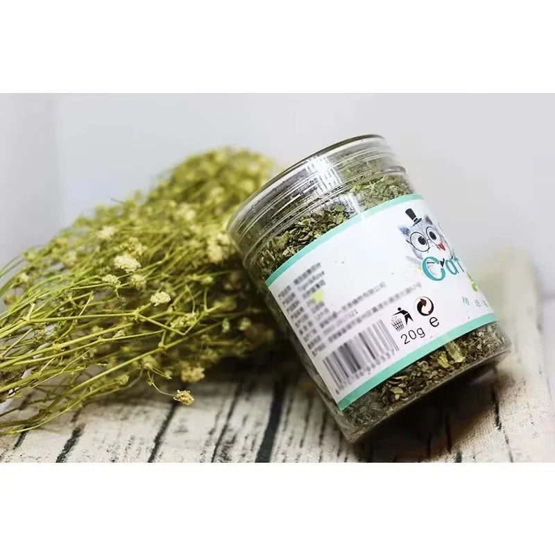 🌿🐱 100% Organic Catnip – Pure, Natural & Powerful Wellness for Your Cat!