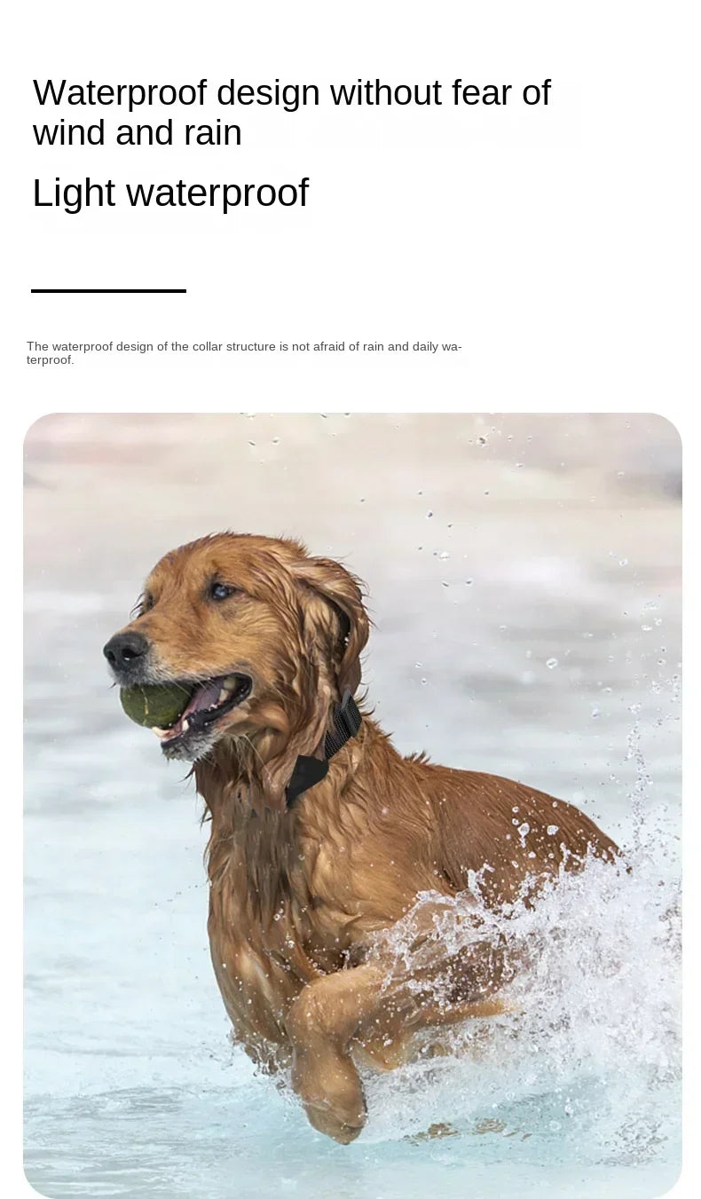 Smart GPS Pet Collar: 24/7 Total Safety for Your Pet