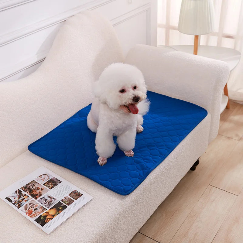 Dog Pee Absorbent Pad – Keep Your Home Clean, Fresh and Odour-Free!