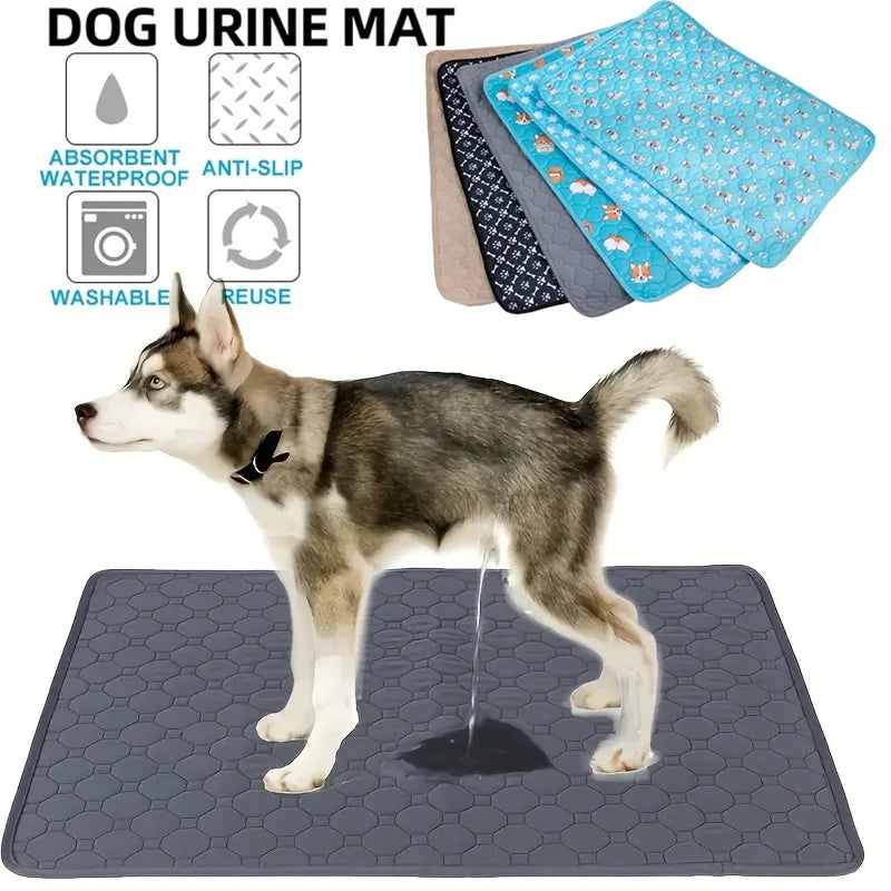 Dog Pee Absorbent Pad – Keep Your Home Clean, Fresh and Odour-Free!